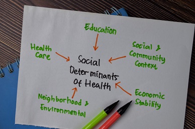 From Disparity to Equity: Navigating Social Determinants of Health in Healthcare Webinar