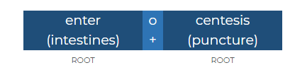 combining-vowels-d