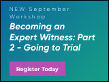 Becoming an Expert Witness: Part 2 - Going to Trial